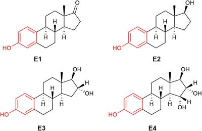 The impact of 17β-estradiol on the estrogen-deficient female brain: from mechanisms to therapy with hot flushes as target symptoms